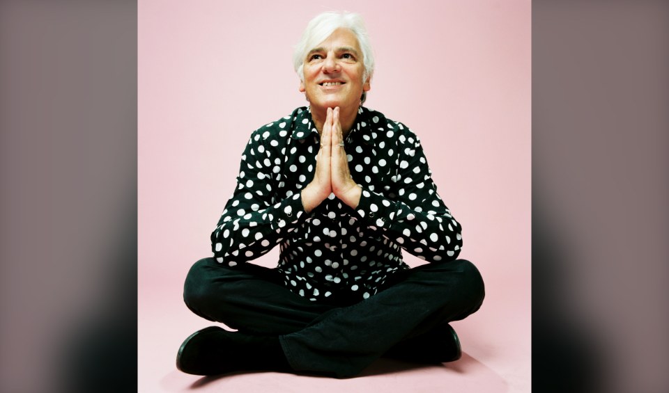 Robyn Hitchcock