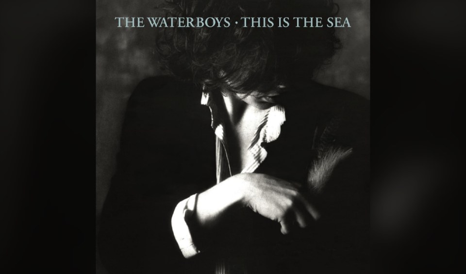 The Waterboys